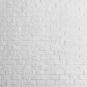 fondo-fotografico-ladrillos 2