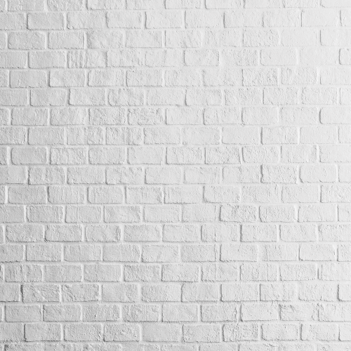 fondo-fotografico-ladrillos 2