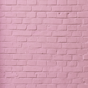 fondo-fotografico-ladrillos 3