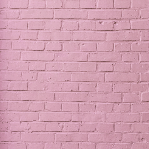 fondo-fotografico-ladrillos 3